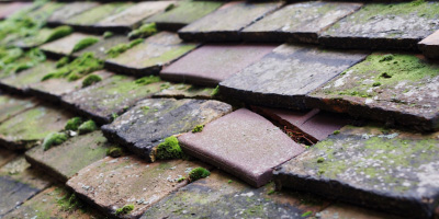 Eaton Socon roof repair costs
